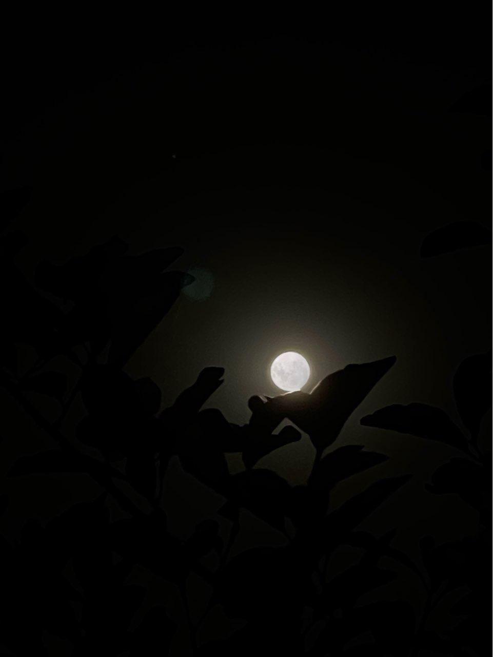 The Moon over Municipalidad de San Miguel De Tucuman, Argentina — full moon, Lunar Day 16