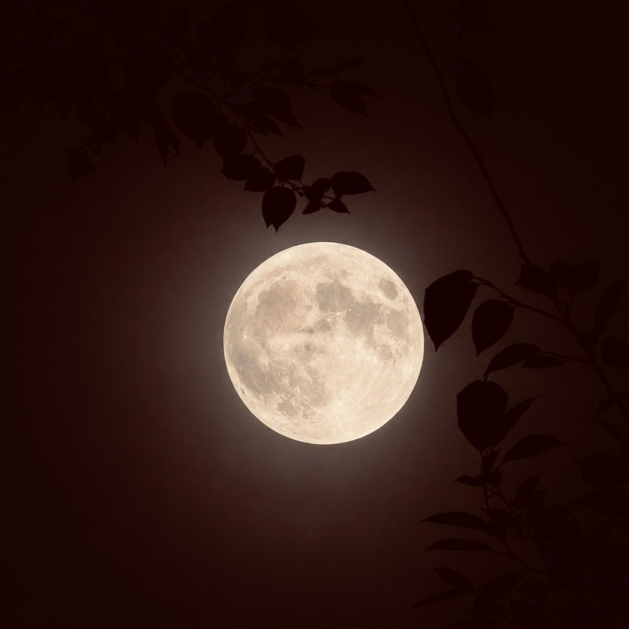 The Moon over Winston-Salem, United States — full moon, Lunar Day 15