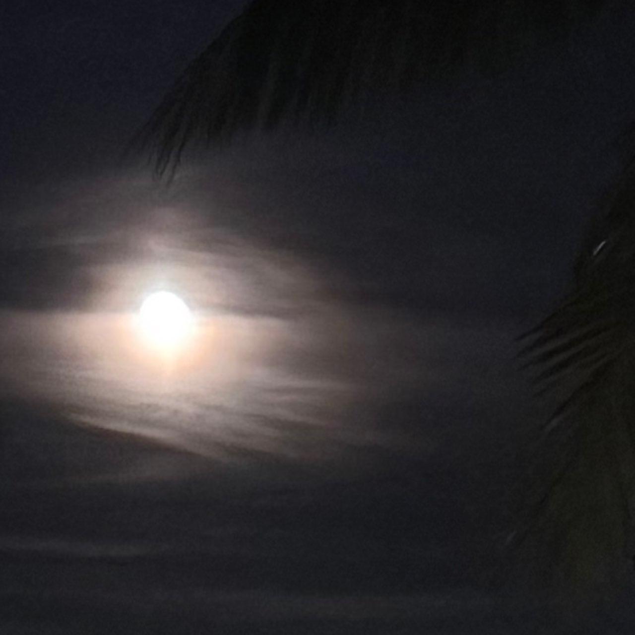 The Moon over Miami, United States — full moon, Lunar Day 17