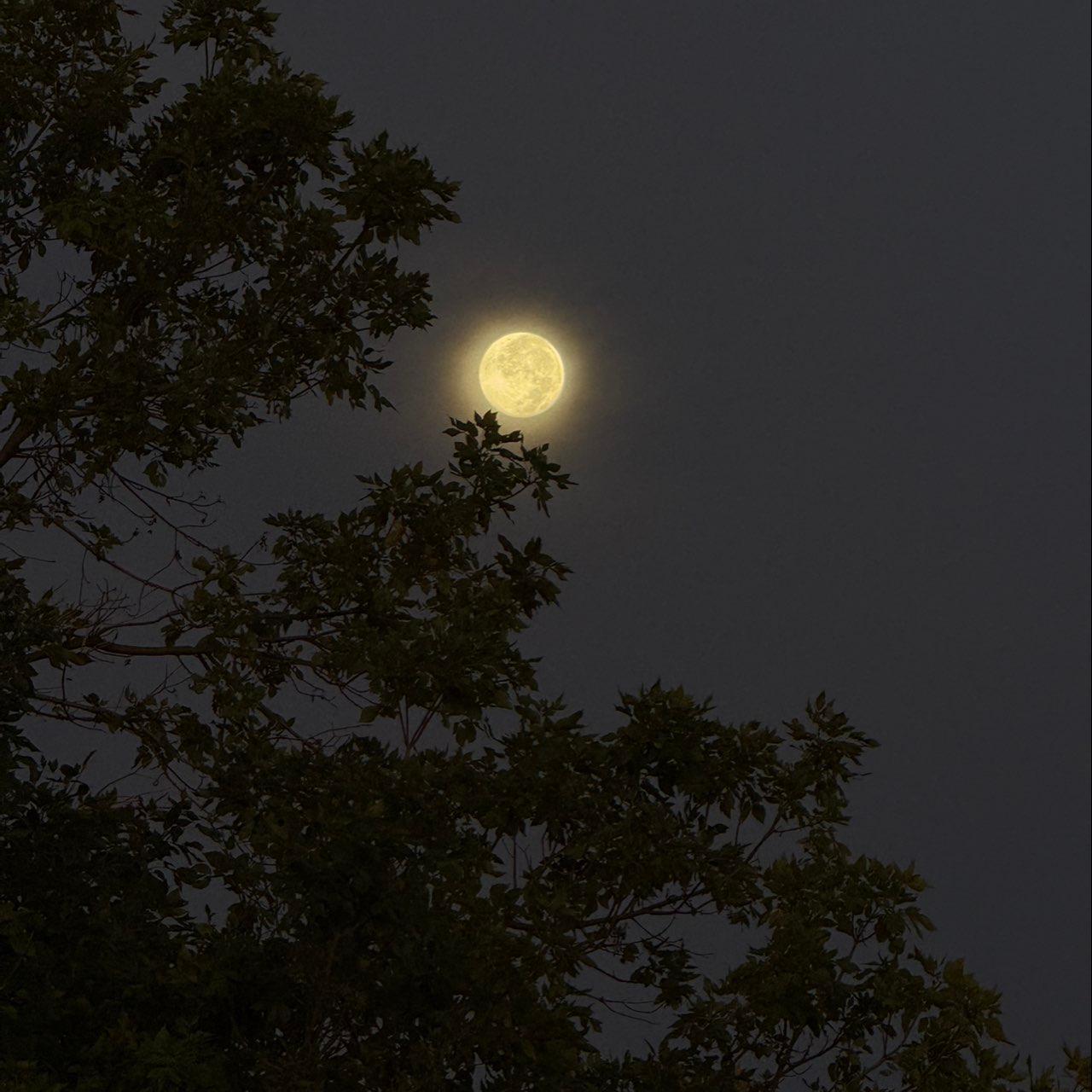 The Moon over Colorado Springs, United States — full moon, Lunar Day 17