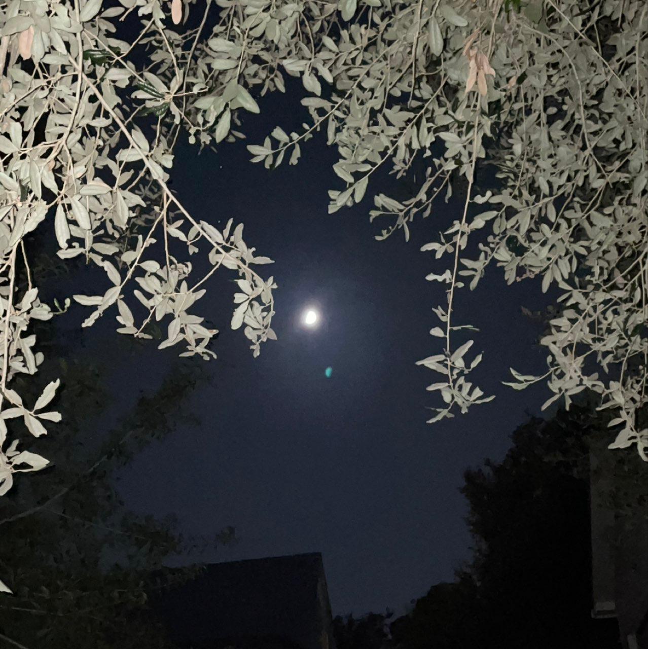 The Moon over Pearland, United States — first quarter, Lunar Day 9