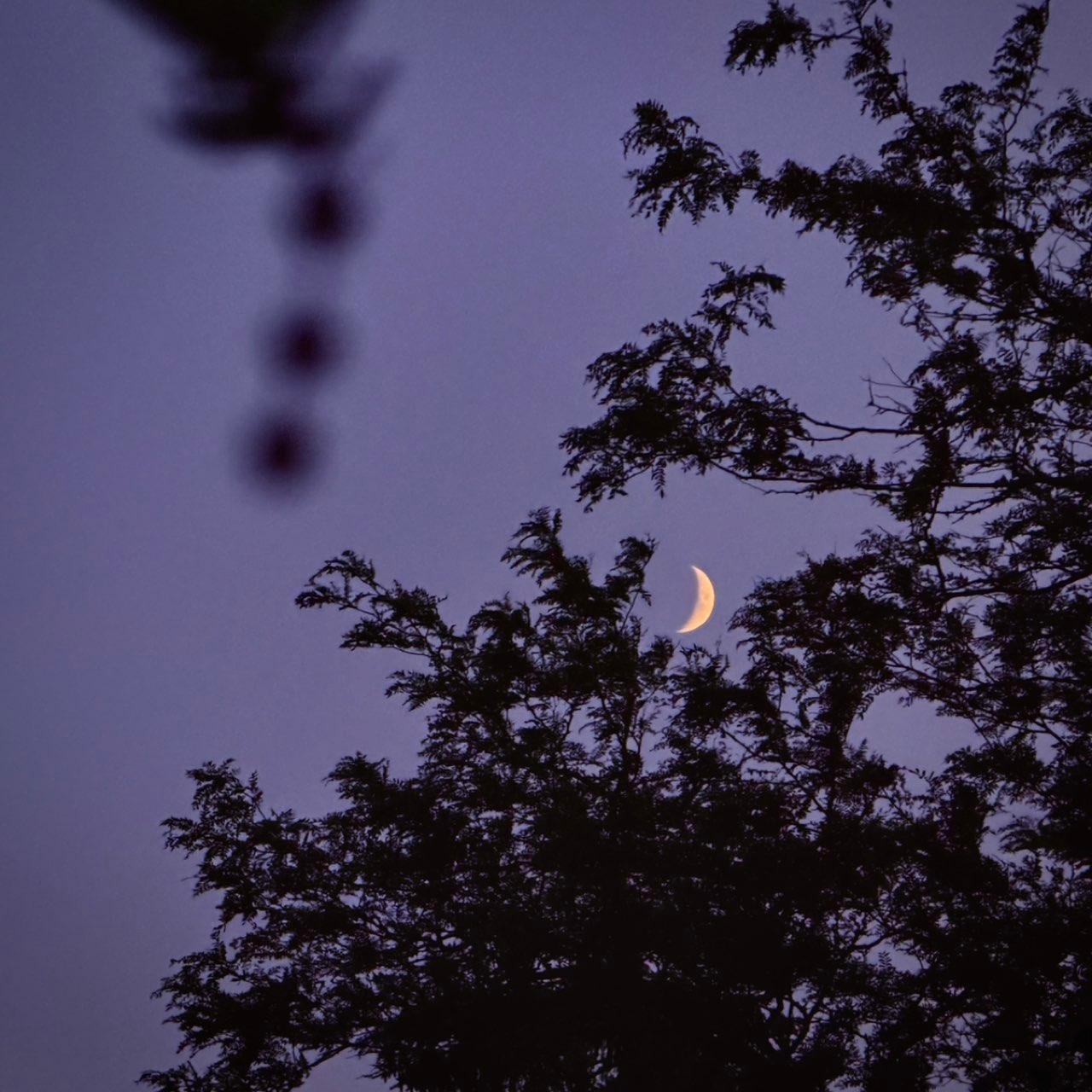 The Moon over Toronto, Canada — waxing crescent, Lunar Day 5