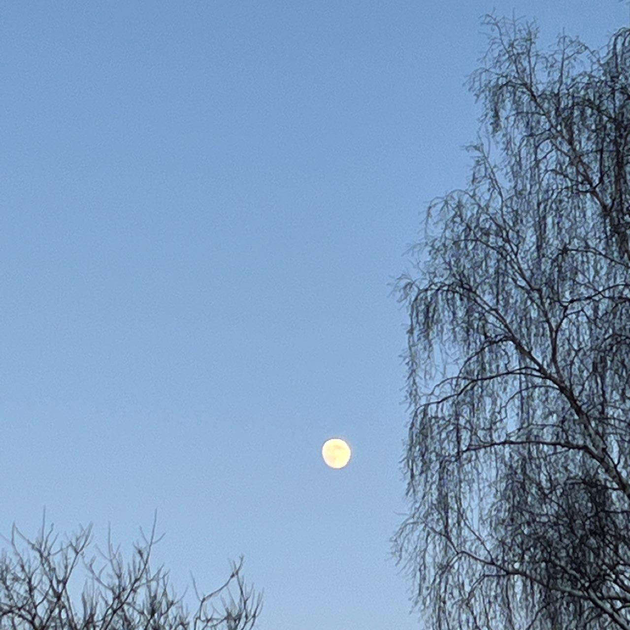 The Moon over Savitaipale, Финляндия — waxing gibbous, Lunar Day 14