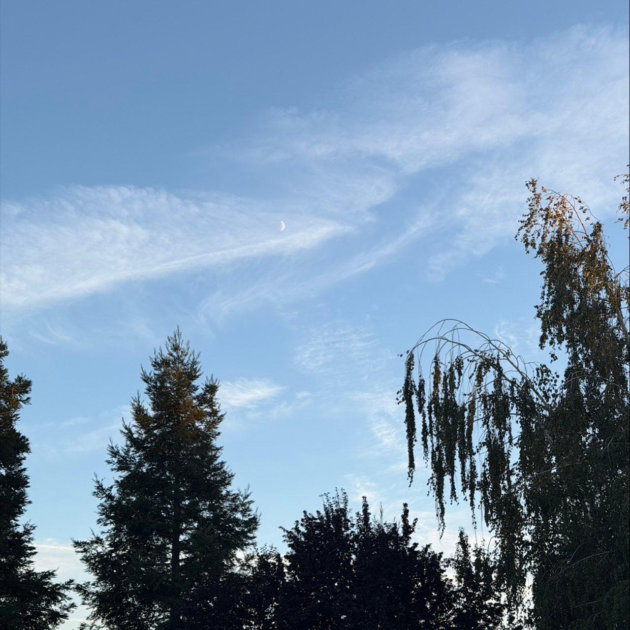 The Moon over Lodi, United States — first quarter, Lunar Day 7