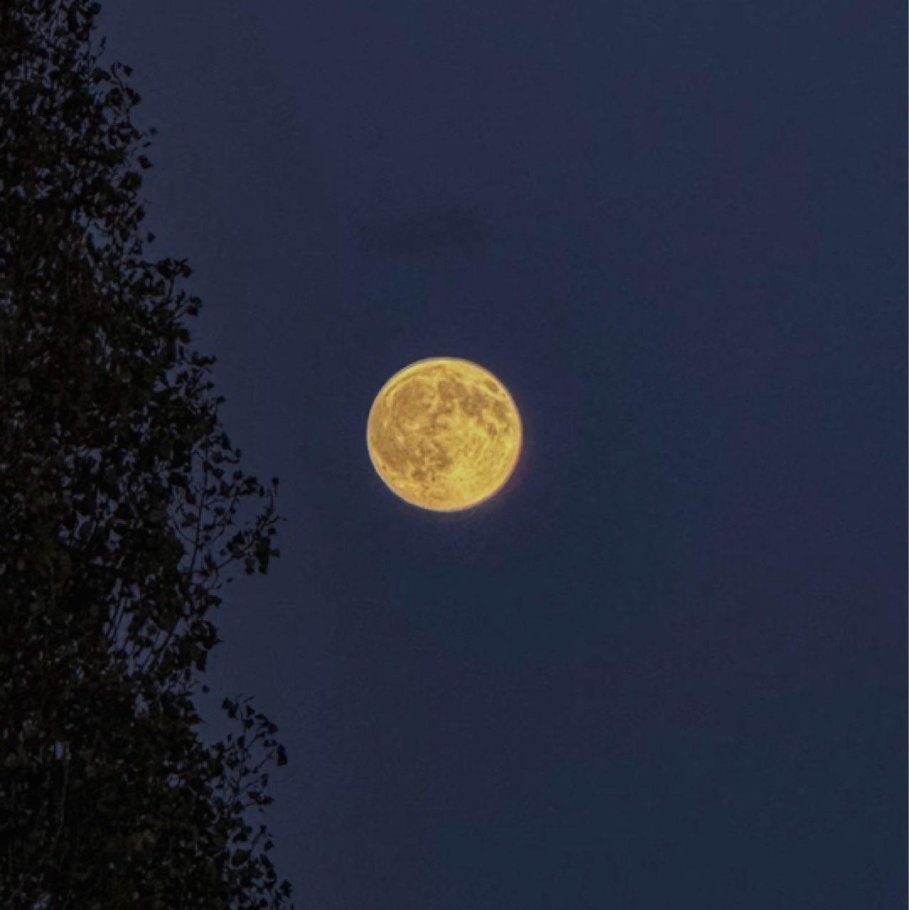 The Moon over Berlin, Allemagne — full moon, Lunar Day 16