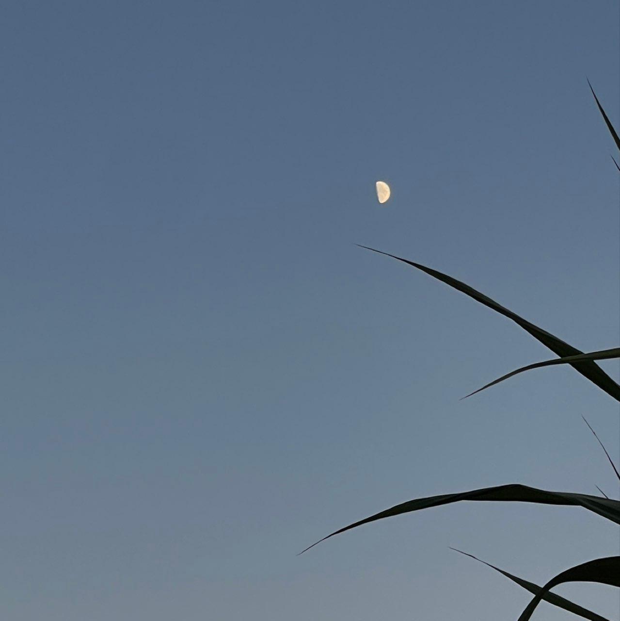 The Moon over Tirana, Albania — full moon, Lunar Day 15