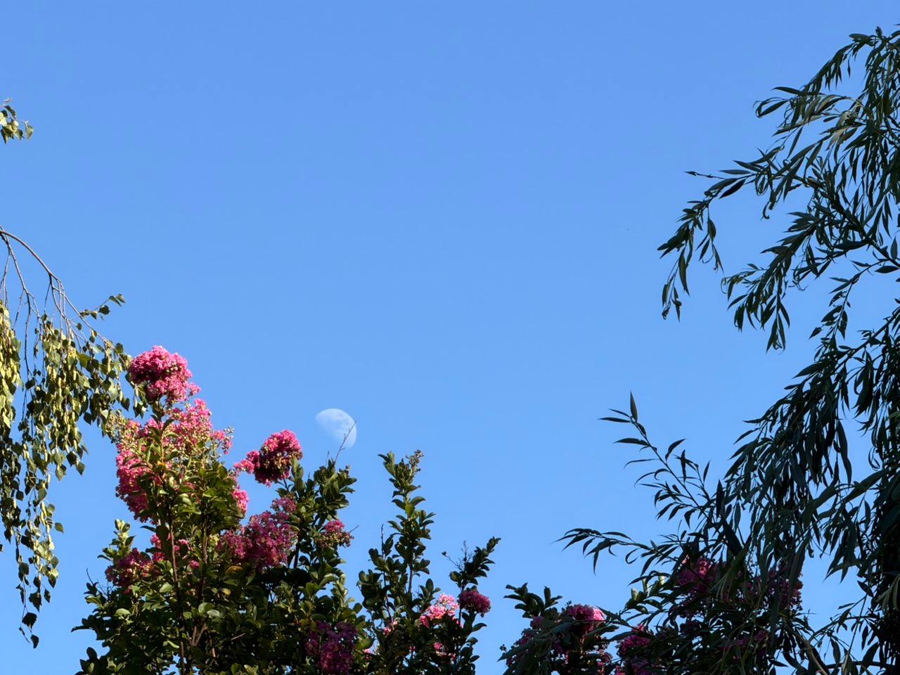 The Moon over Lodi, United States — first quarter, Lunar Day 10