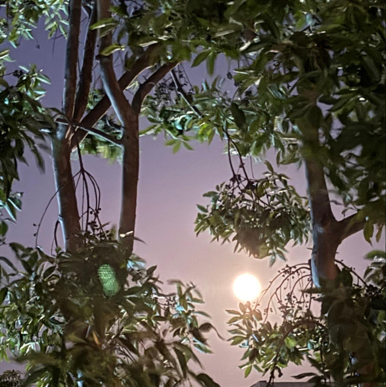 The Moon over Anaheim, United States — full moon, Lunar Day 15