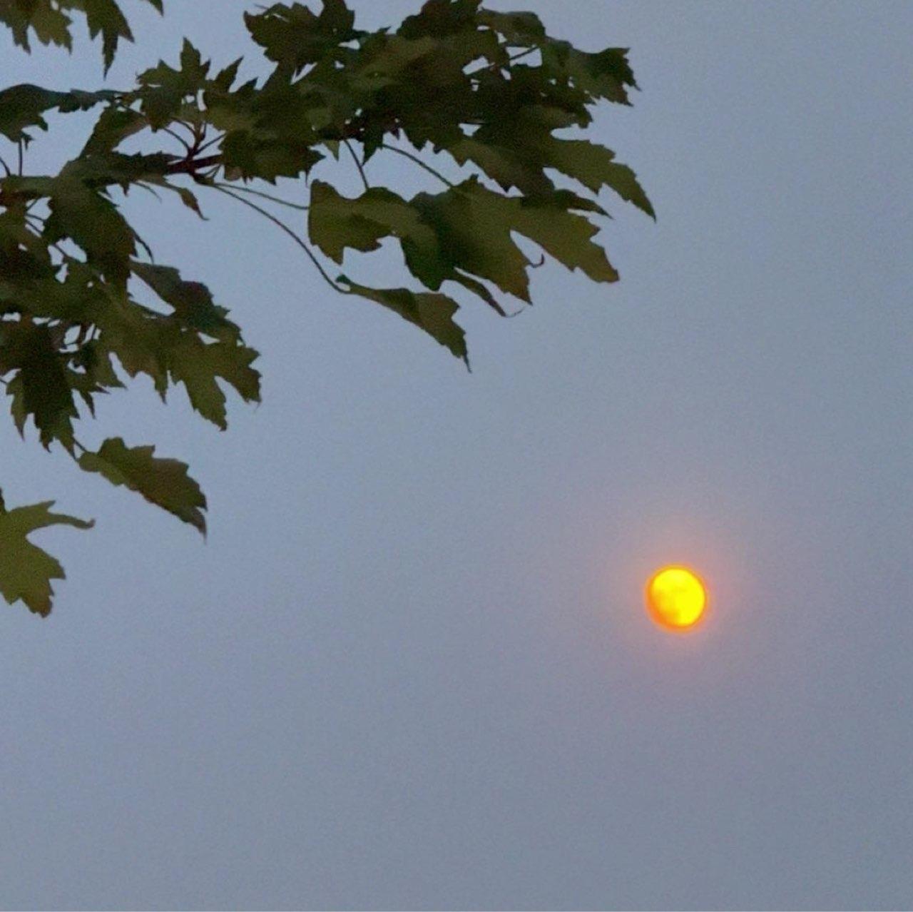 The Moon over Broomfield, United States — full moon, Lunar Day 14