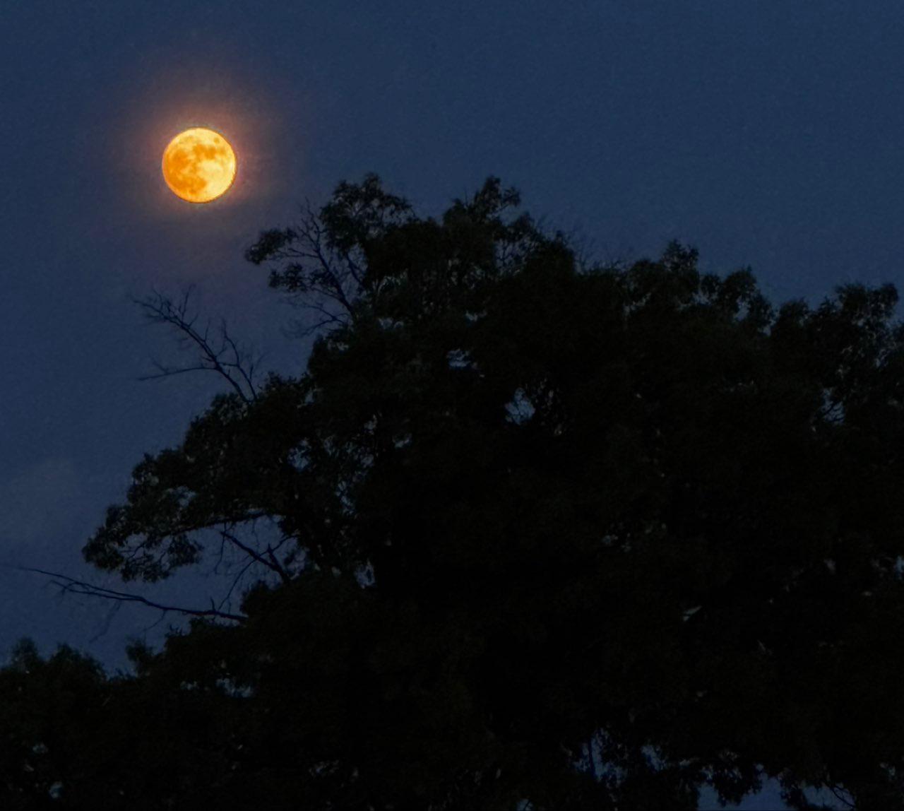 The Moon over Highland Hills, United States — full moon, Lunar Day 15