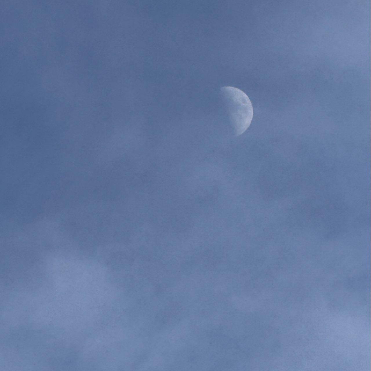 The Moon over Calgary, Canada — first quarter, Lunar Day 8