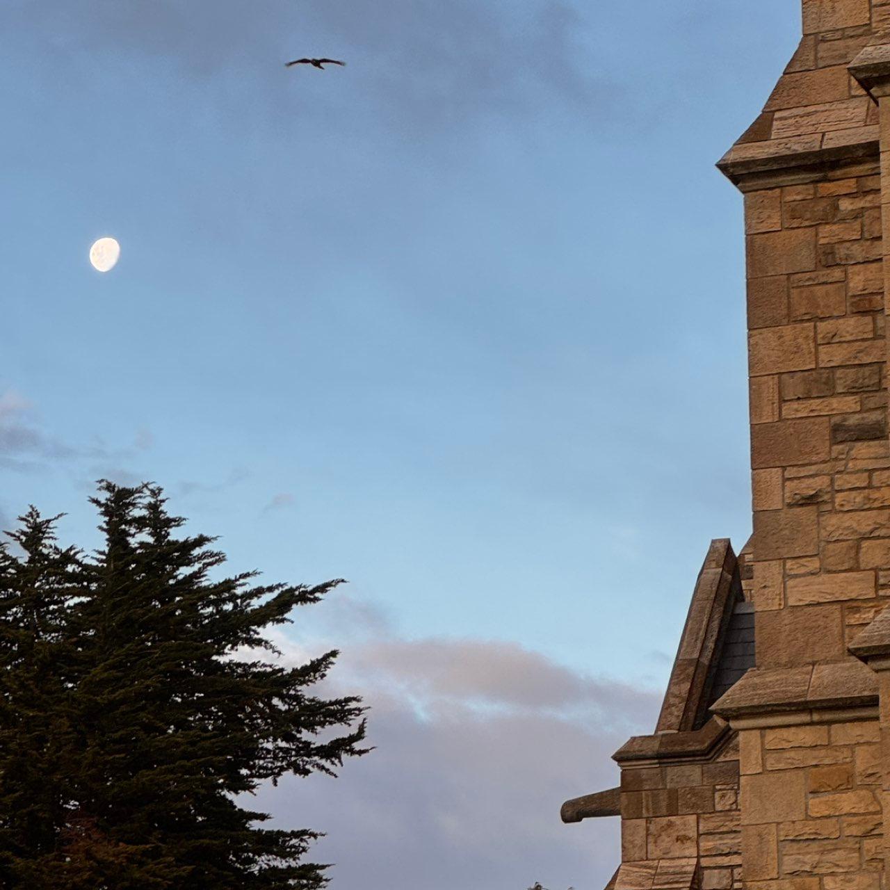 The Moon over Bariloche, Argentina — waxing gibbous, Lunar Day 11