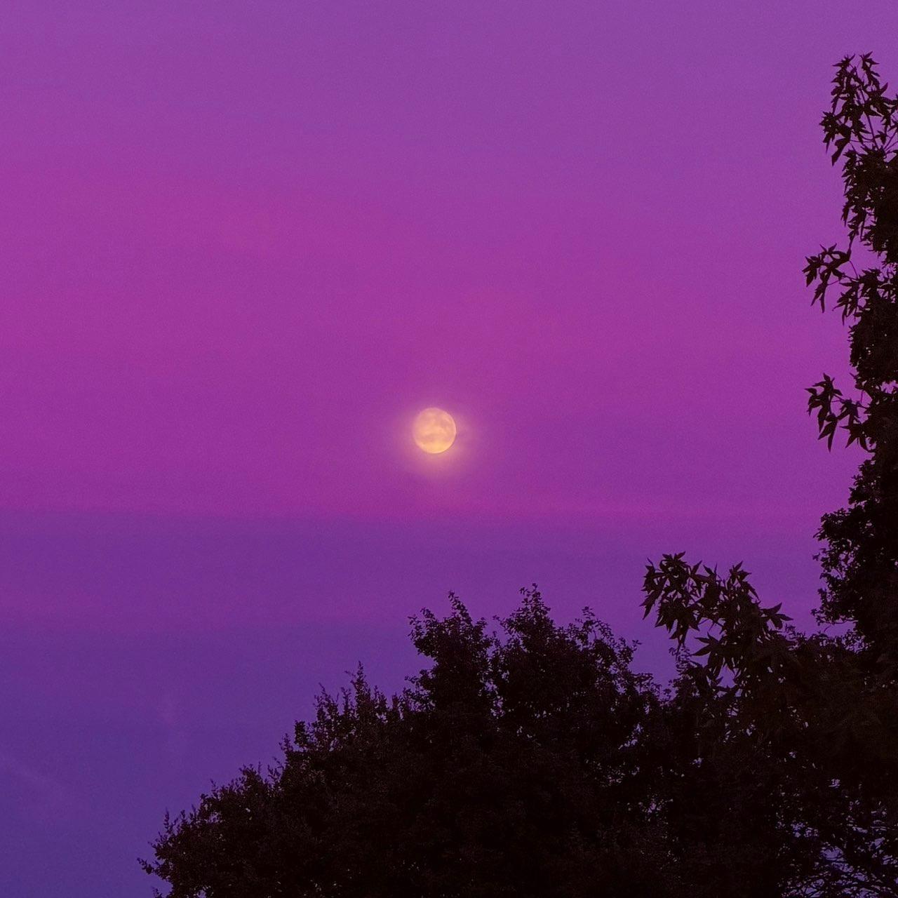The Moon over Pelt, België — waxing gibbous, Lunar Day 15