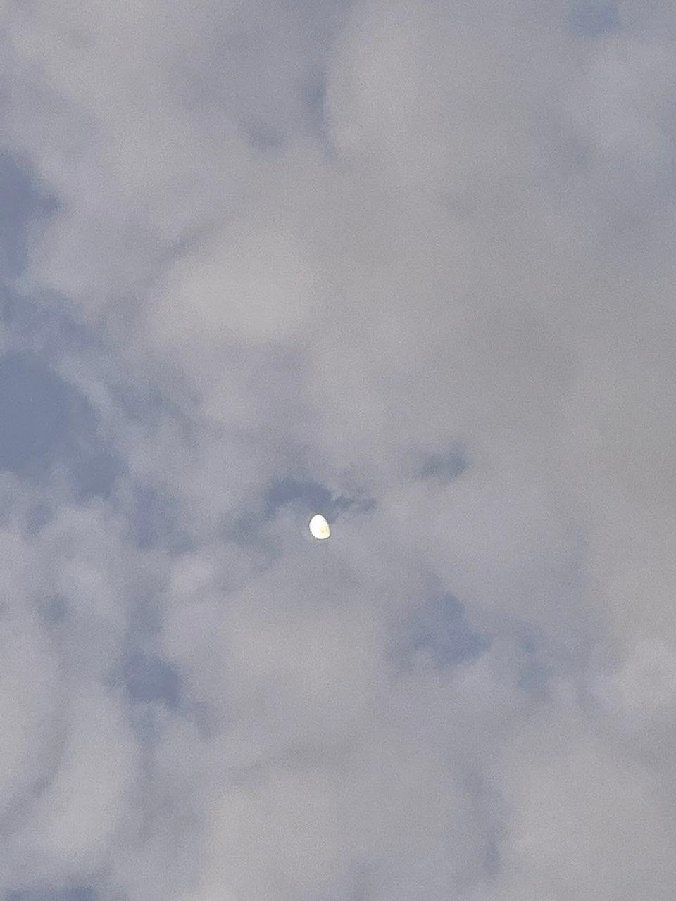 The Moon over Auckland, New Zealand — waxing gibbous, Lunar Day 10
