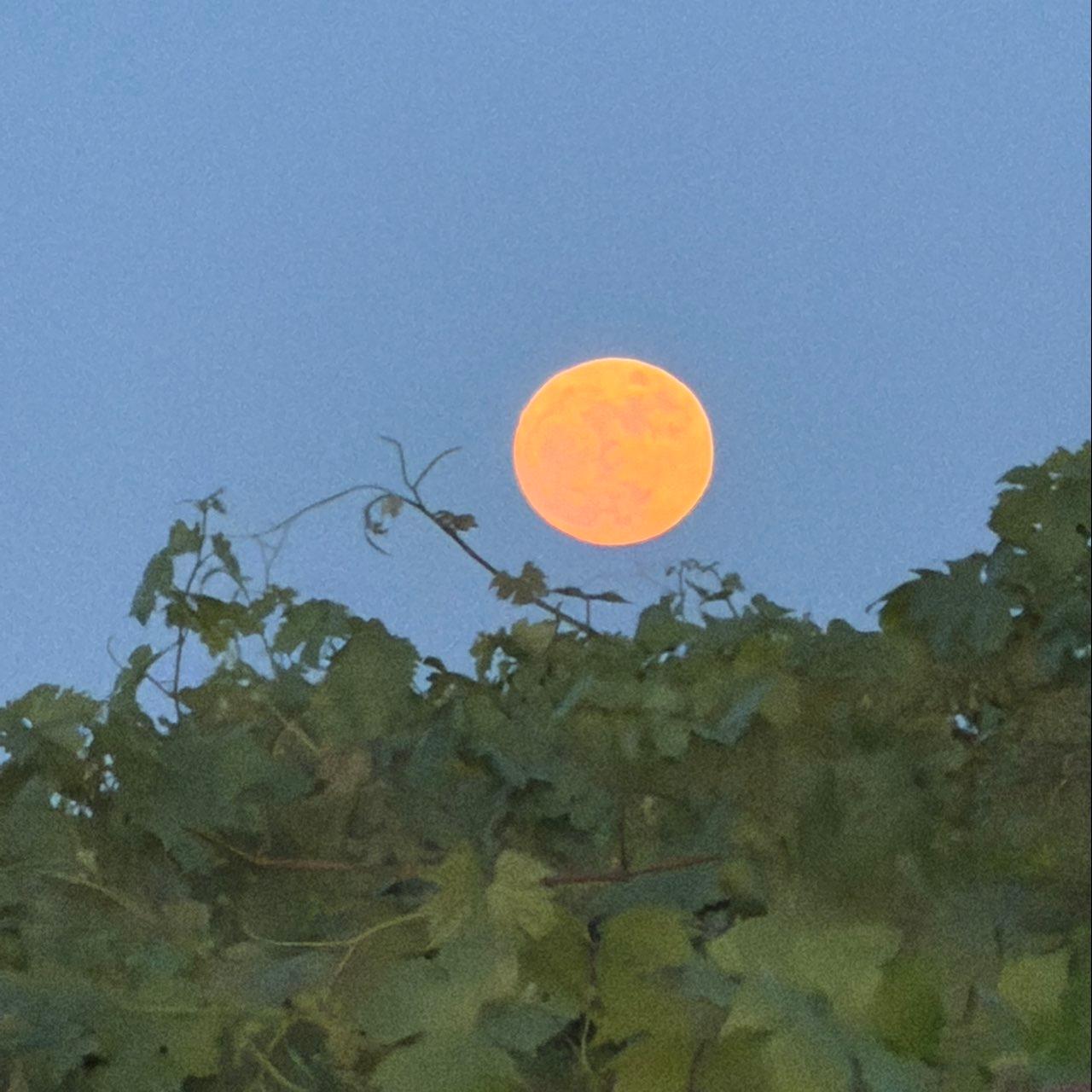 The Moon over Lodi, United States — full moon, Lunar Day 15