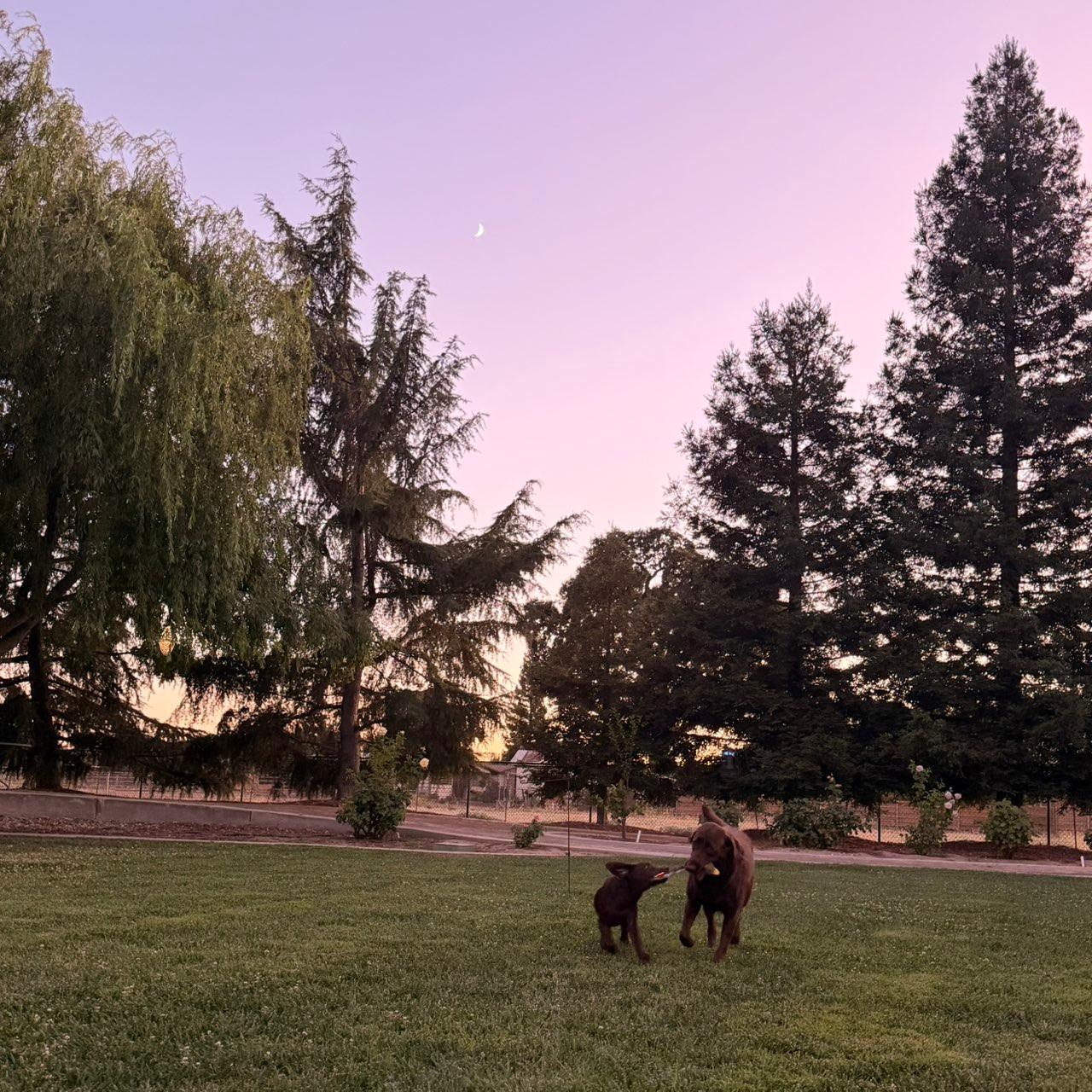 The Moon over Lodi, United States — waxing crescent, Lunar Day 6