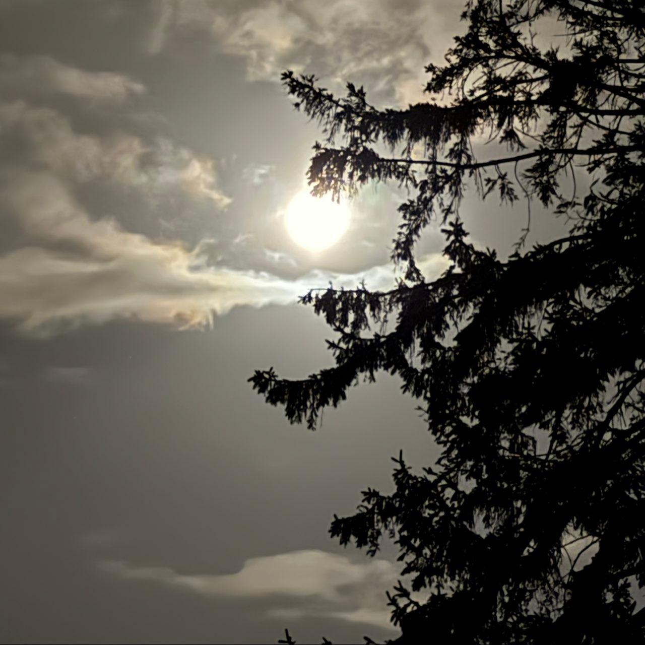 The Moon over Kluisbergen, België — waxing gibbous, Lunar Day 11
