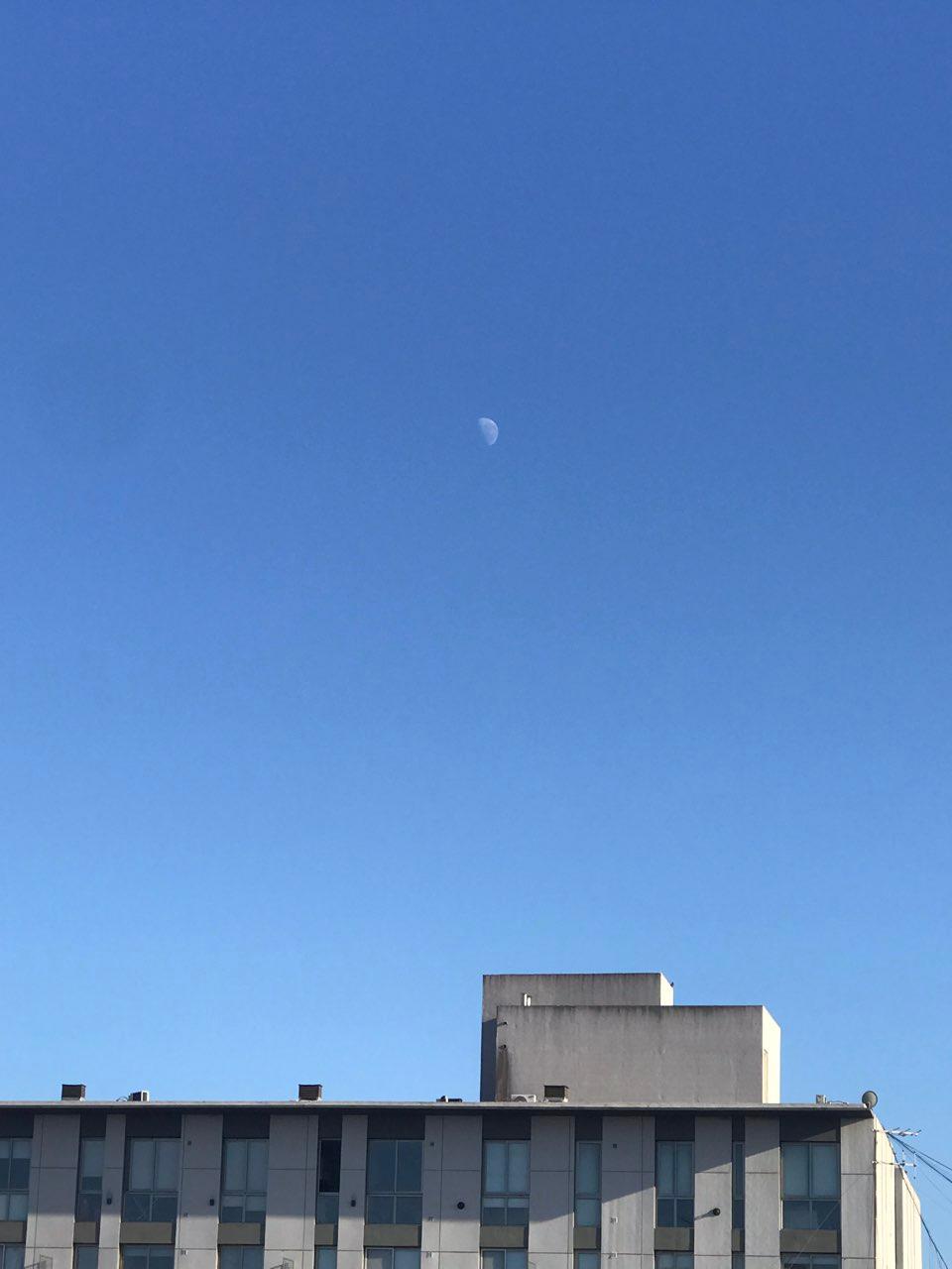 The Moon over General Pico, Argentina — last quarter, Lunar Day 21