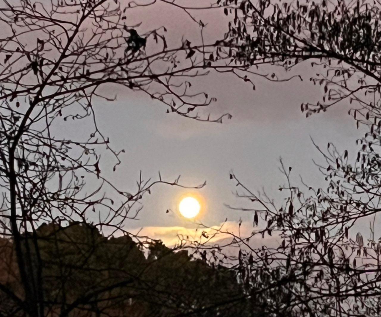 The Moon over Hamilton, New Zealand — full moon, Lunar Day 16