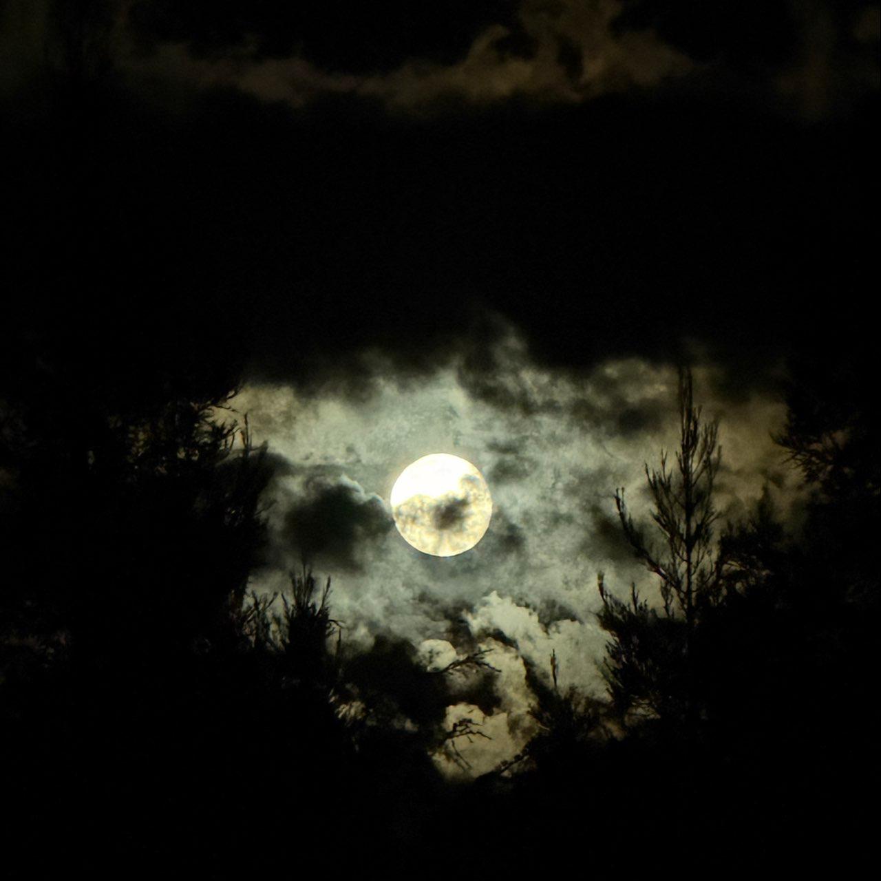 The Moon over Lodi, United States — full moon, Lunar Day 18