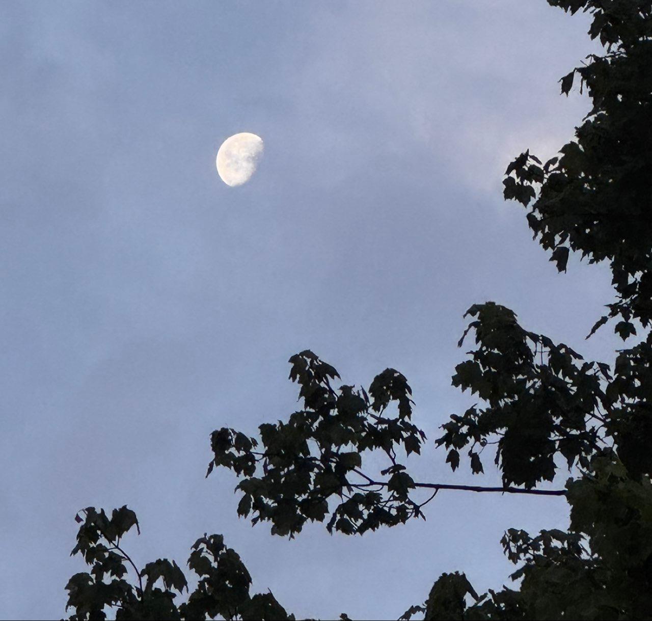 The Moon over Chagrin Falls, United States — waning gibbous, Lunar Day 21