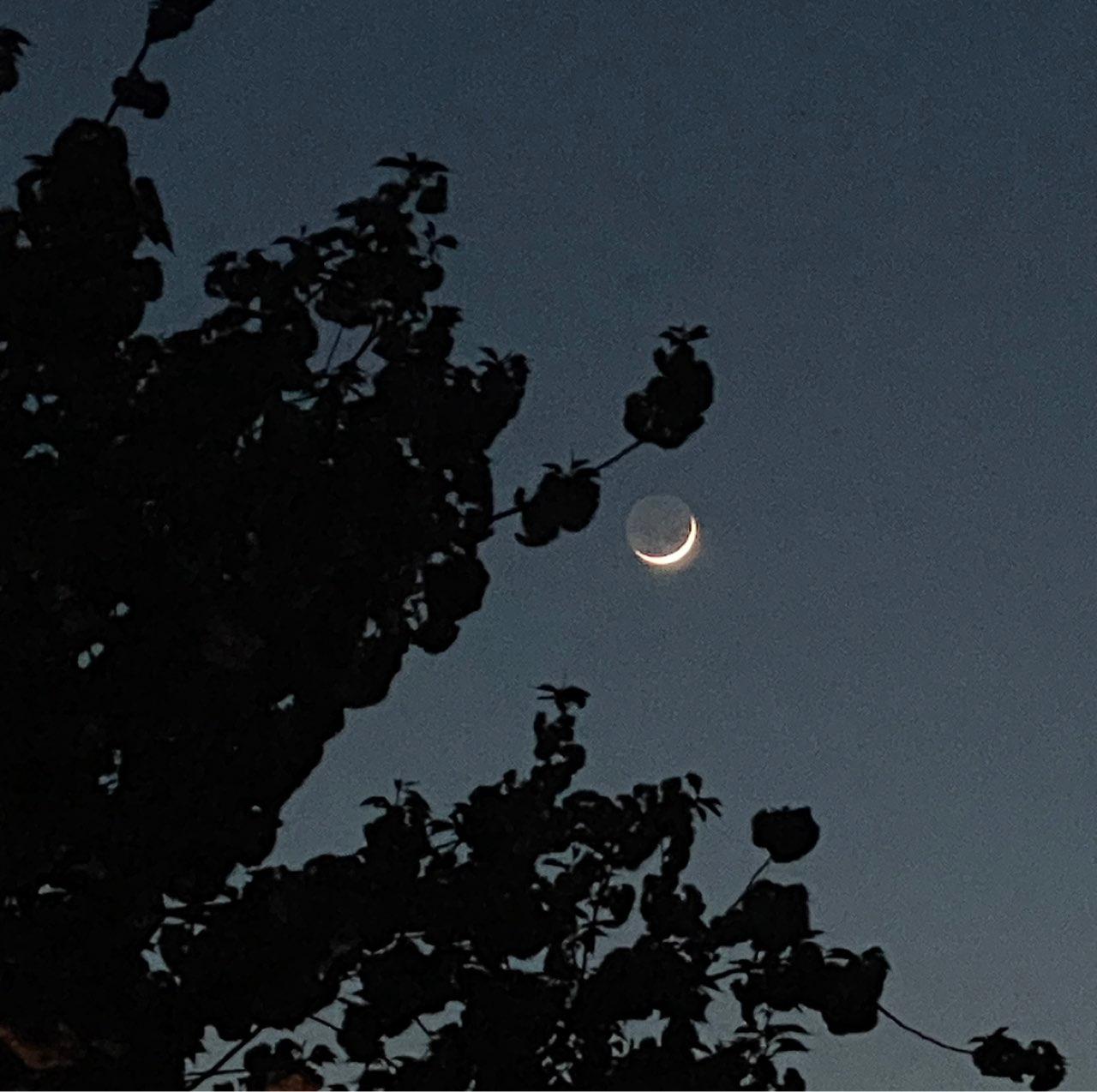 The Moon over Hamburg, Deutschland — waxing crescent, Lunar Day 3