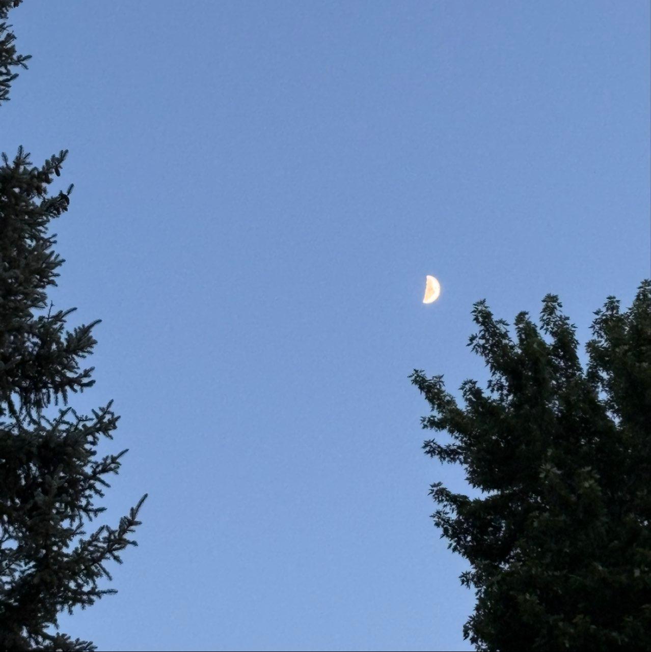 The Moon over Denver, United States — first quarter, Lunar Day 8