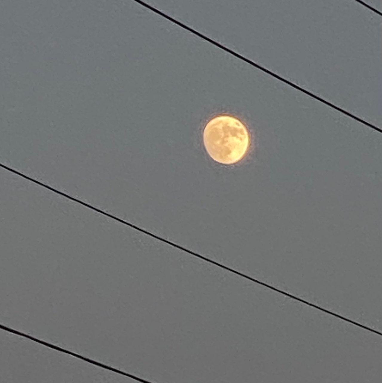 The Moon over Tuscaloosa, Estados Unidos — waxing gibbous, Lunar Day 14