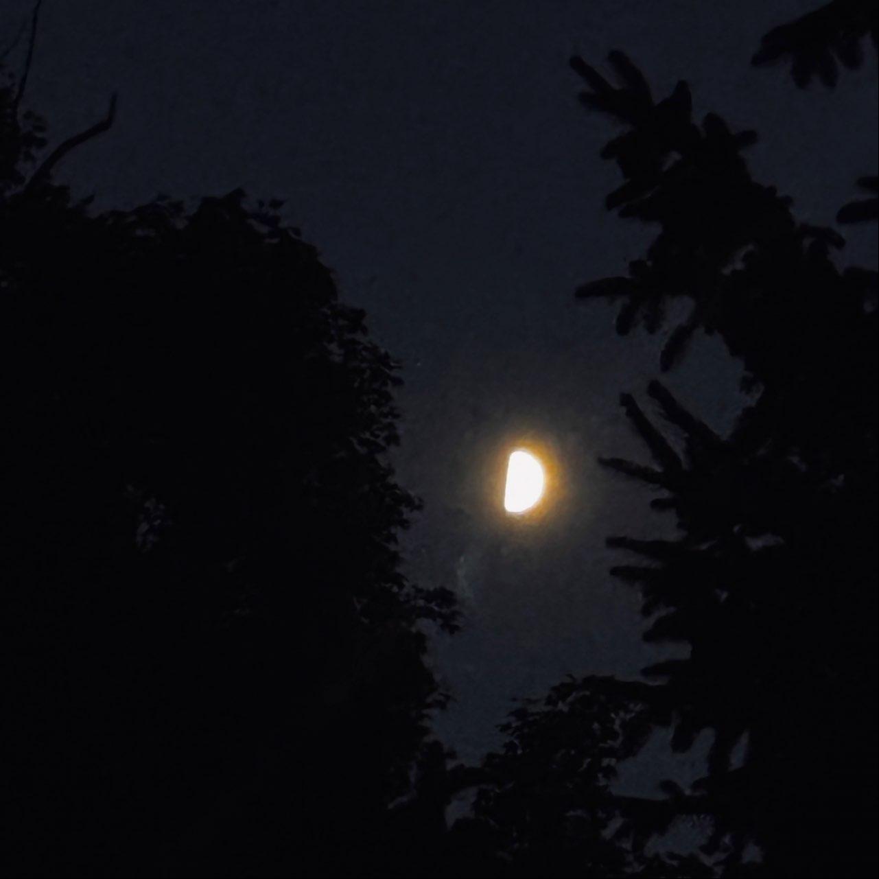 The Moon over Cleveland, United States — first quarter, Lunar Day 9