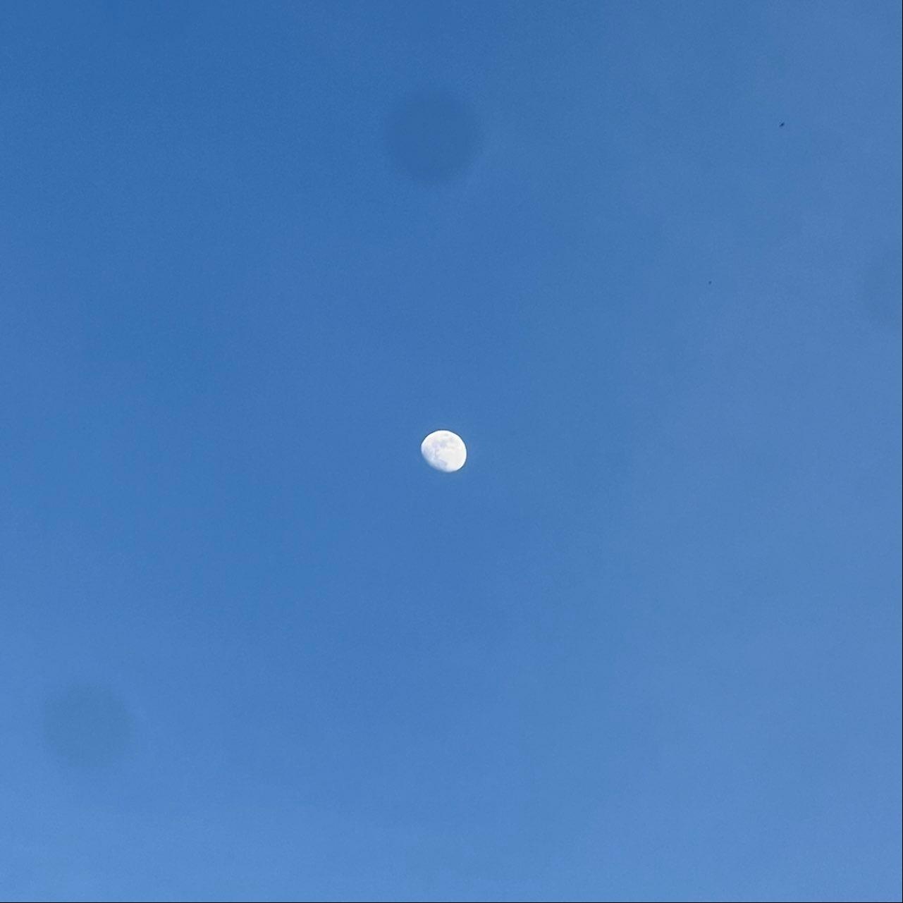 The Moon over Mühlhausen/Thüringen, Deutschland — waxing gibbous, Lunar Day 12