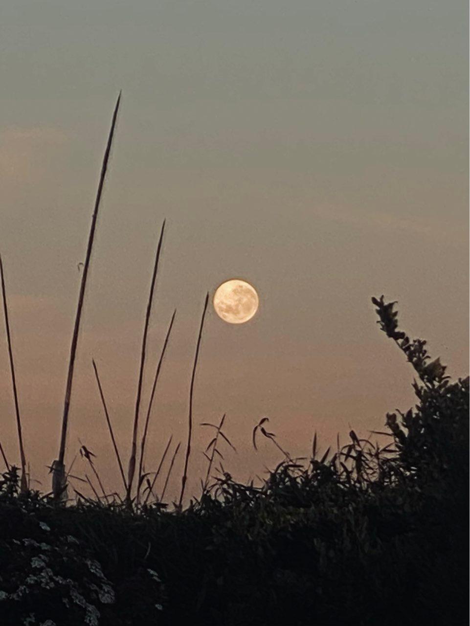 The Moon over Tigre, Argentina — full moon, Lunar Day 16
