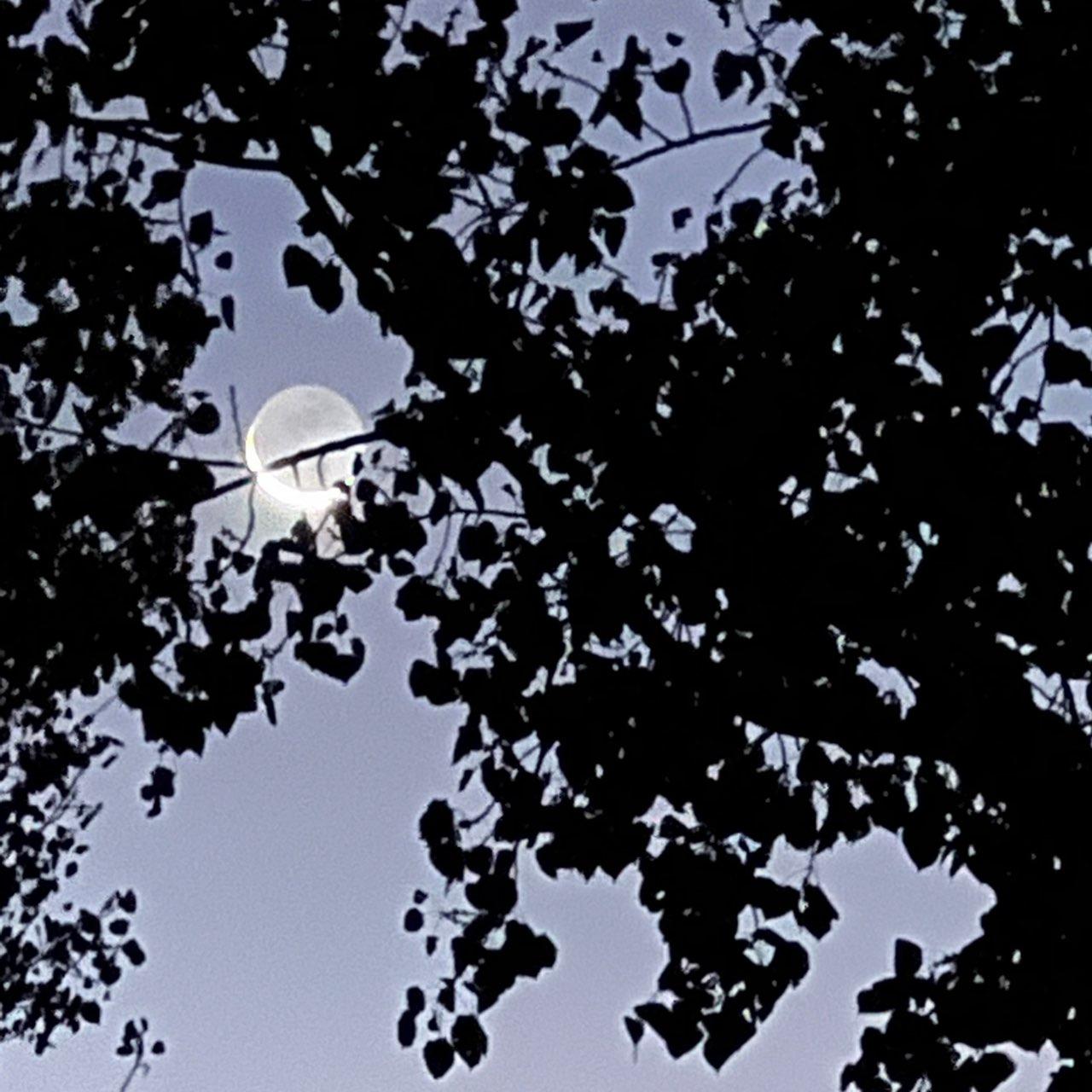 The Moon over Diamond, United States — waning crescent, Lunar Day 28