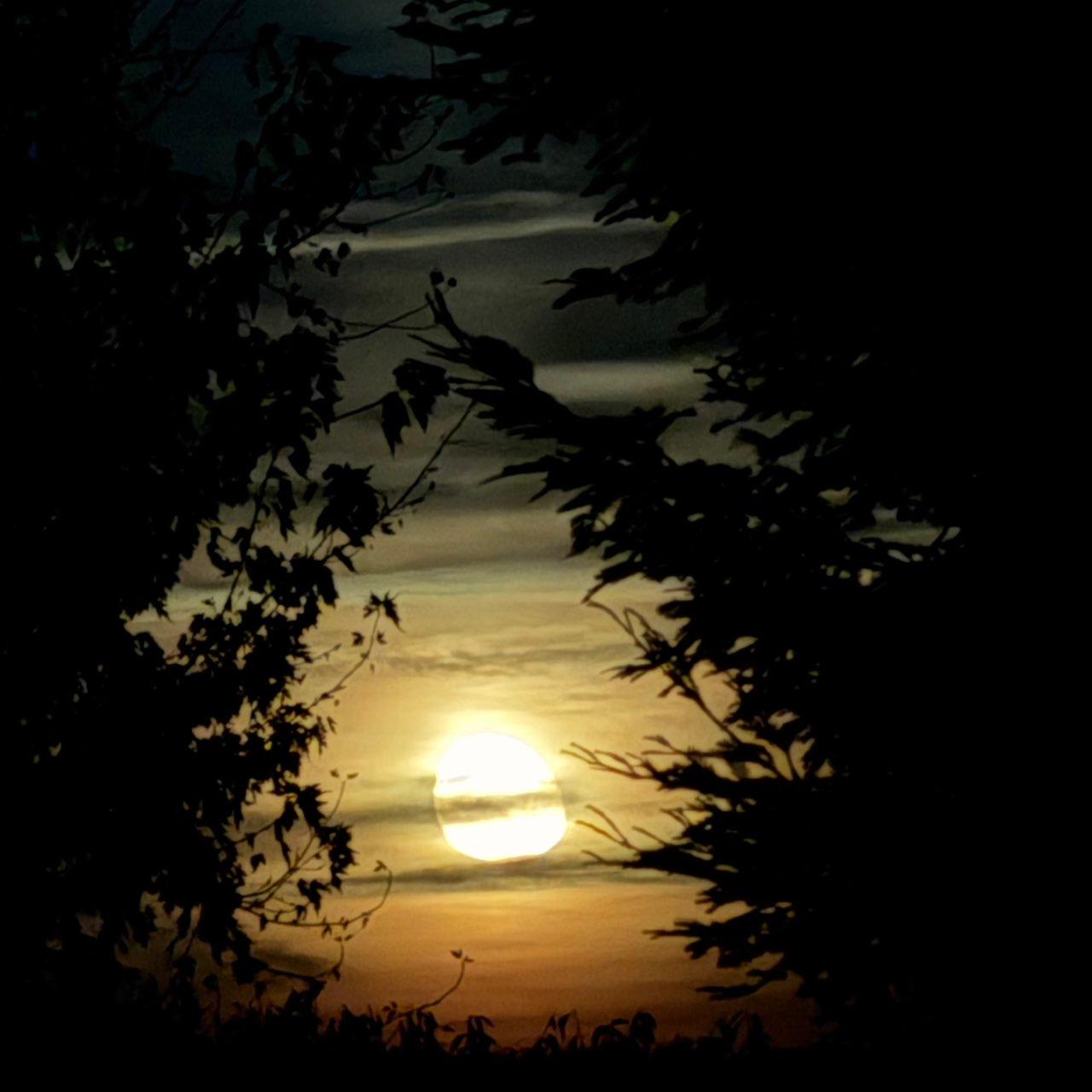 The Moon over Lodi, United States — waning gibbous, Lunar Day 19
