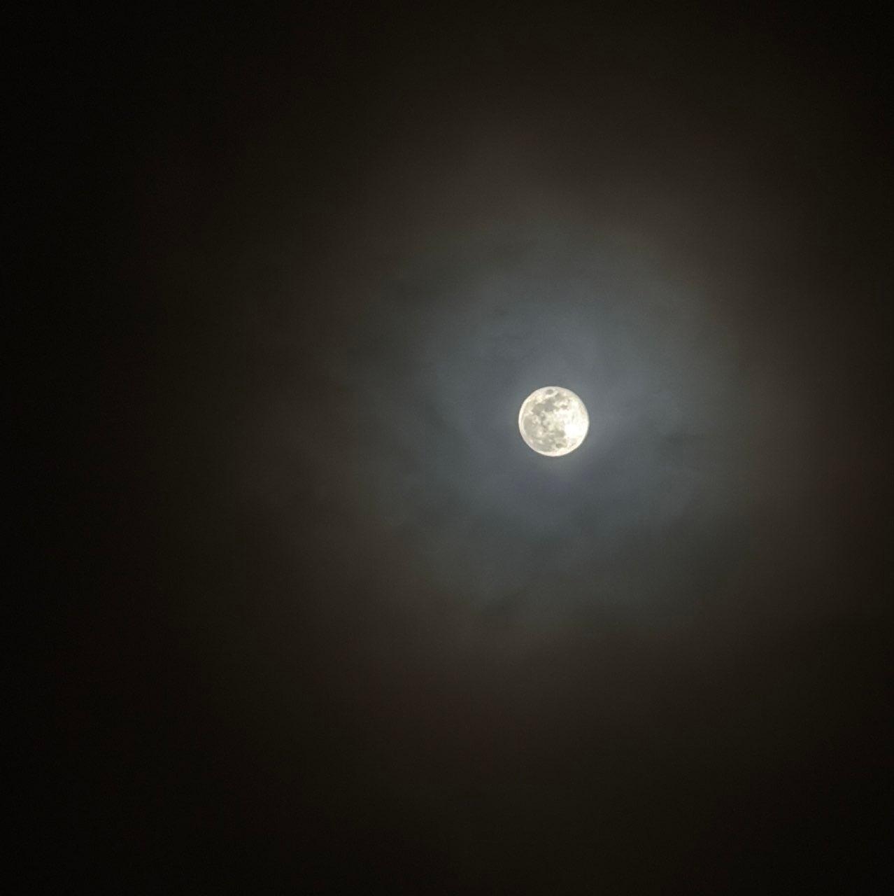 The Moon over Farmers Branch, Estados Unidos — full moon, Lunar Day 16