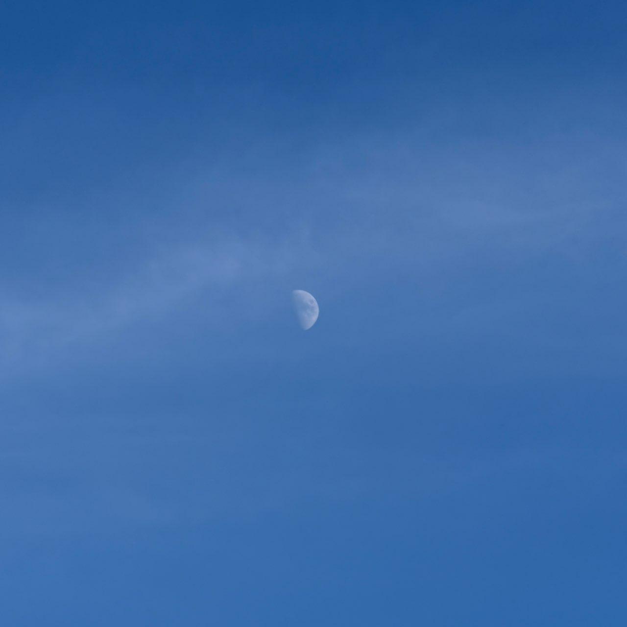 The Moon over Halstenbek, Deutschland — first quarter, Lunar Day 8