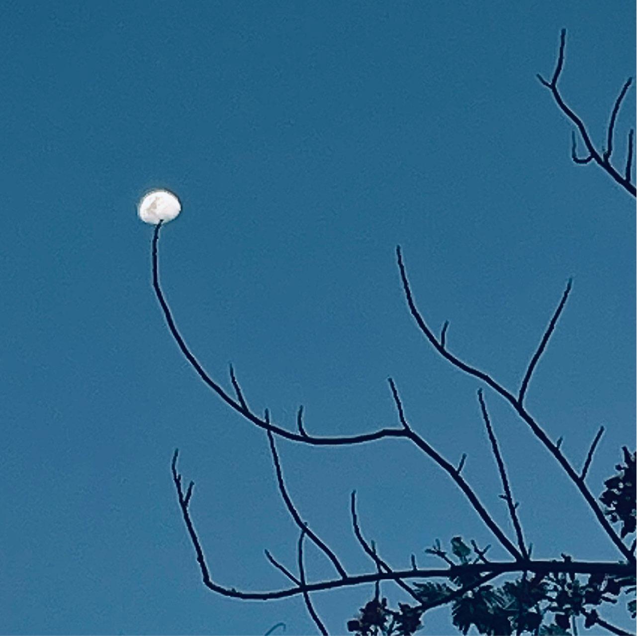 The Moon over San Mateo, Philippines — waxing gibbous, Lunar Day 11