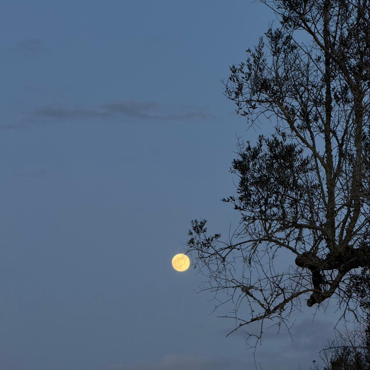 The Moon over Squinzano, Italia — full moon, Lunar Day 15