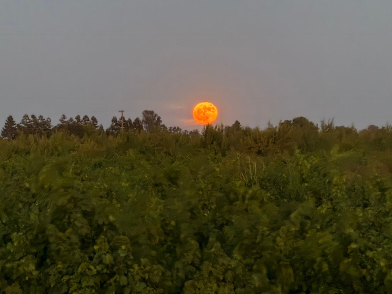 The Moon over Lodi, United States — full moon, Lunar Day 16
