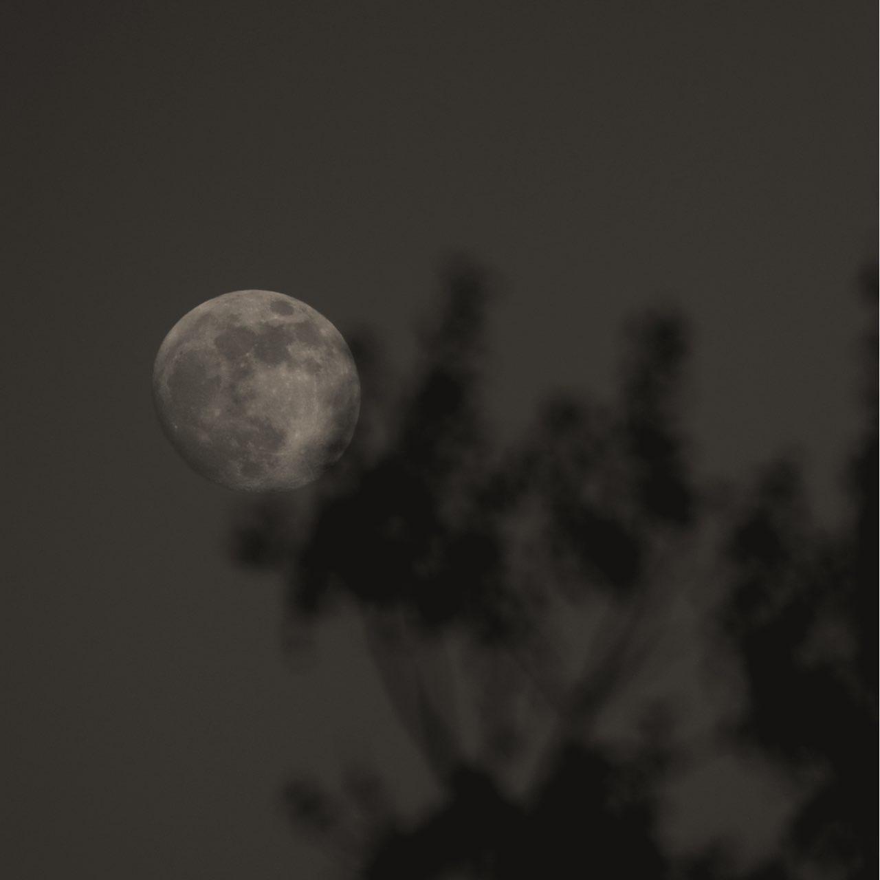 The Moon over Bochum, Deutschland — waxing gibbous, Lunar Day 14
