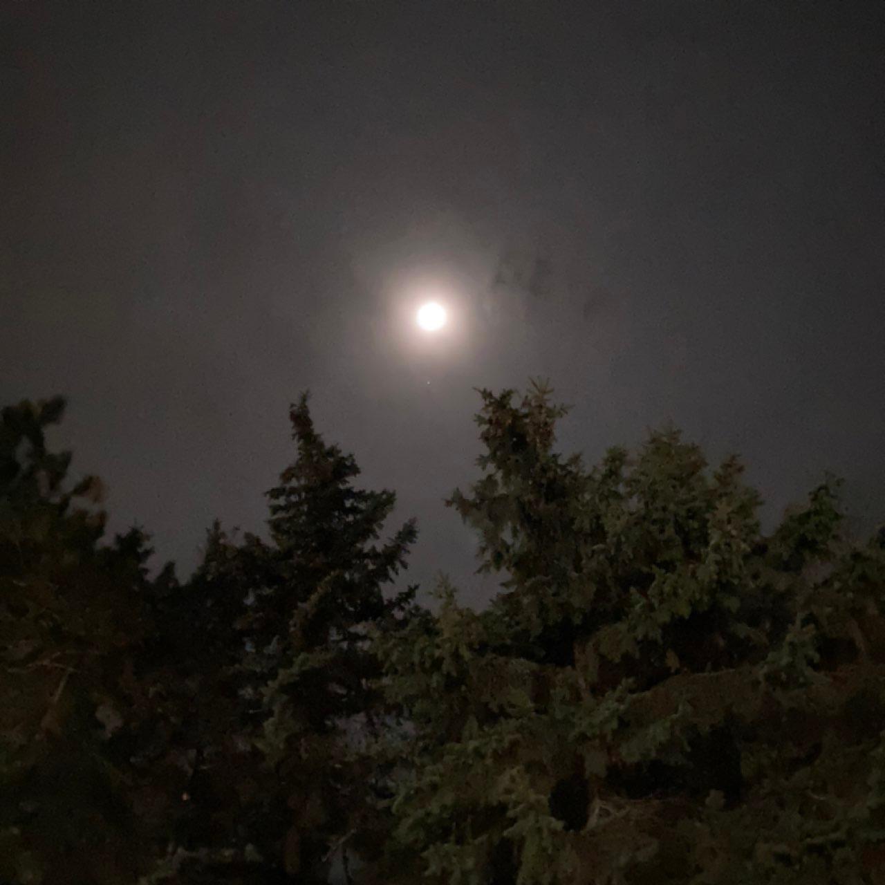 The Moon over Pyatigorsk, Russia — waxing gibbous, Lunar Day 11