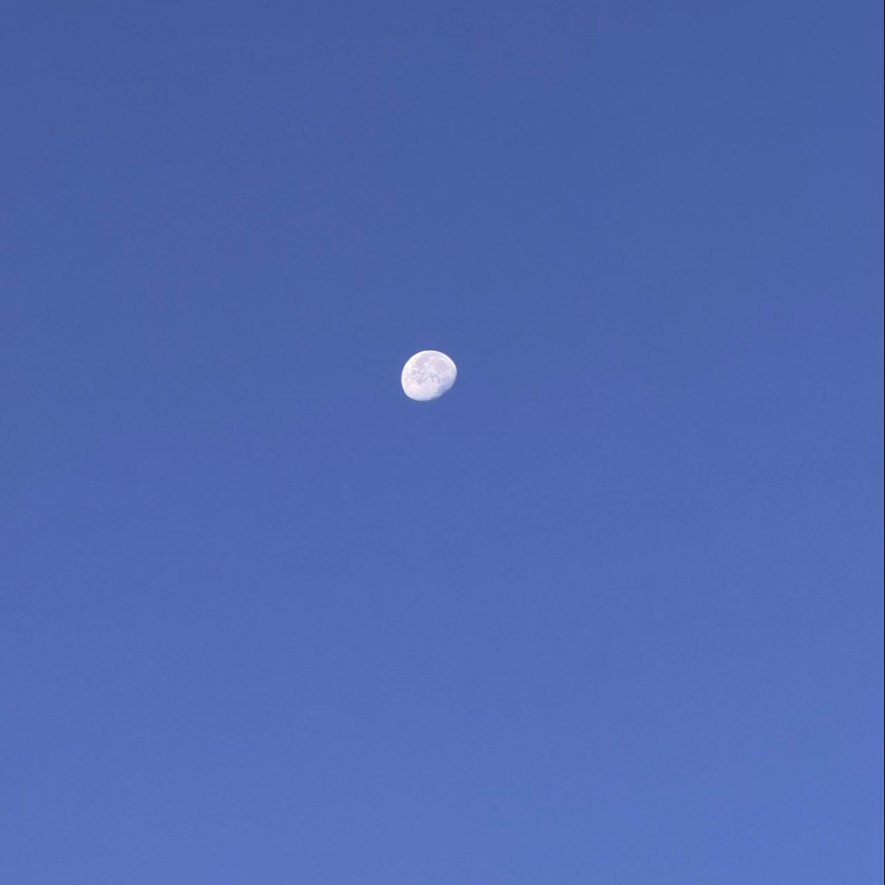 The Moon over Colorado Springs, United States — waning gibbous, Lunar Day 20