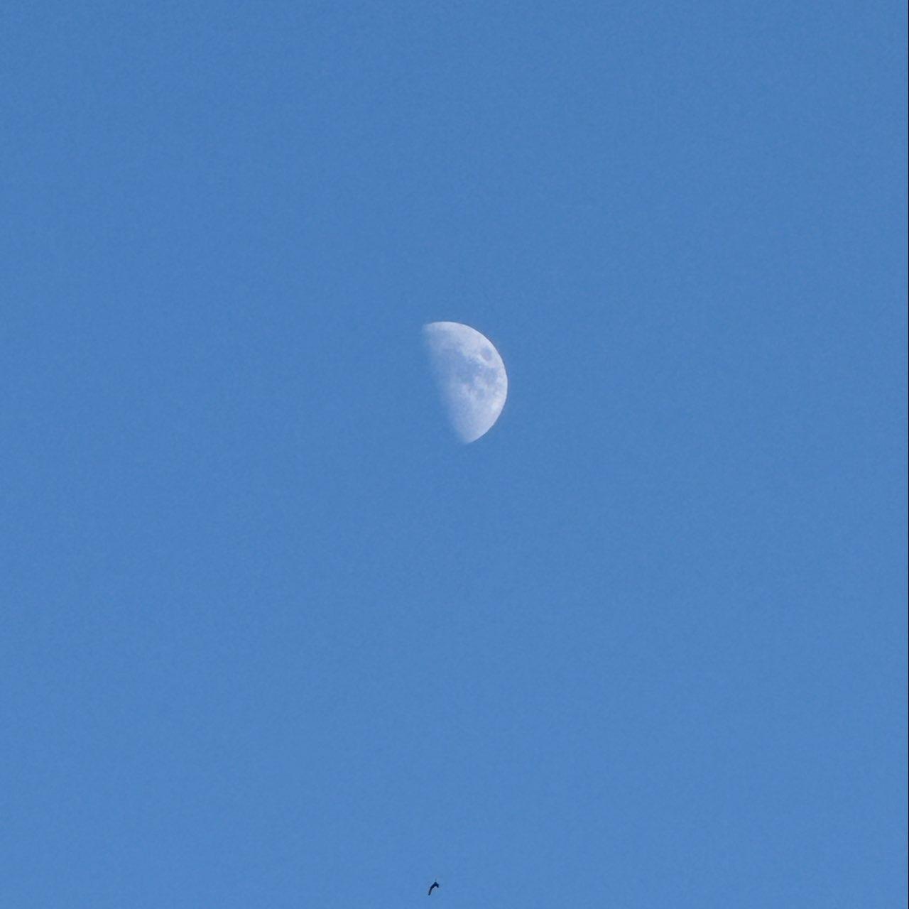 The Moon over Wetzlar, Deutschland — first quarter, Lunar Day 9