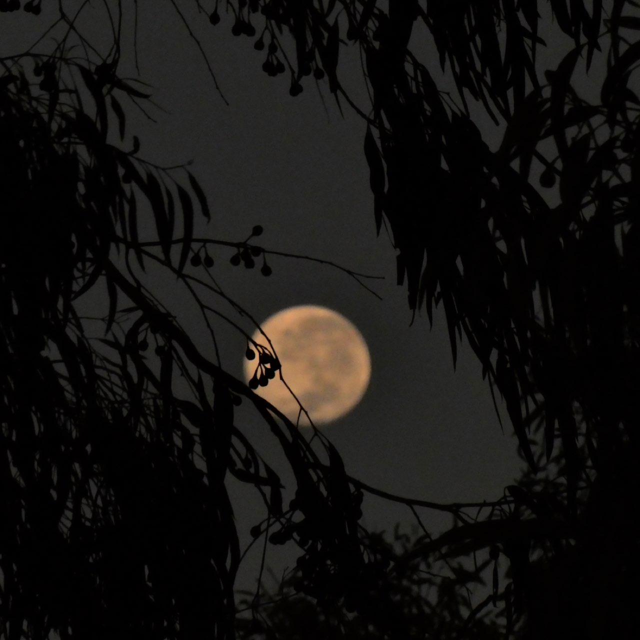 The Moon over Adelaide, Australia — full moon, Lunar Day 17