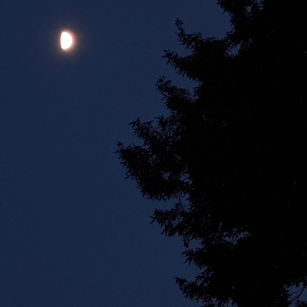 The Moon over Aurora, United States — first quarter, Lunar Day 10