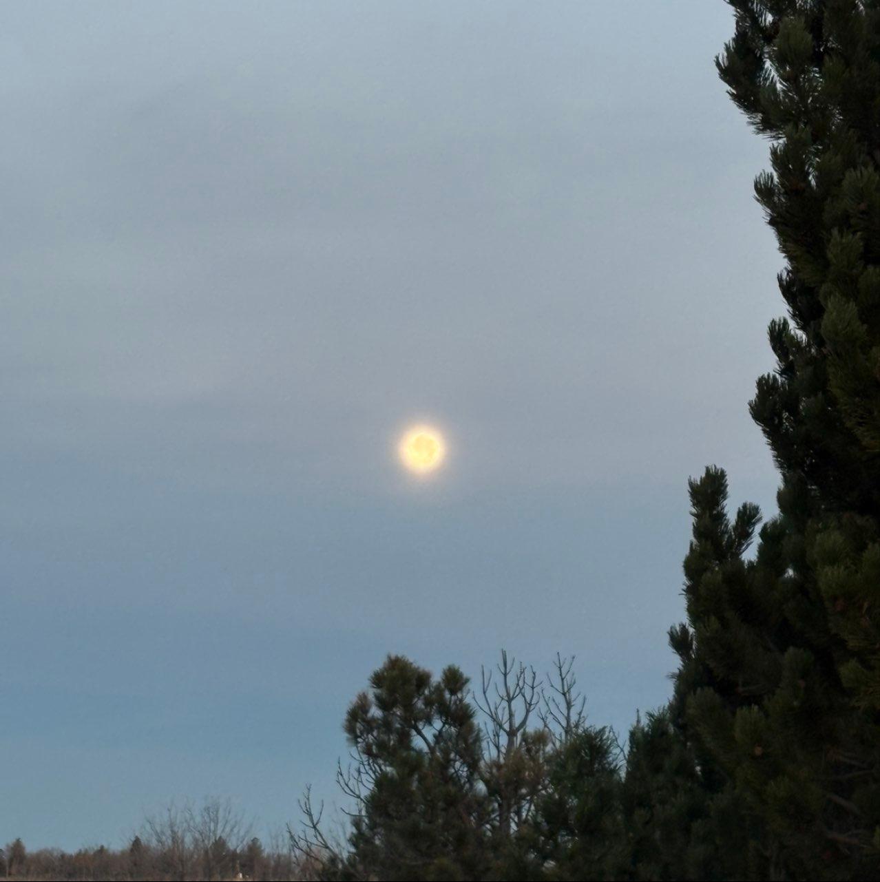 The Moon over Havre, United States — full moon, Lunar Day 16