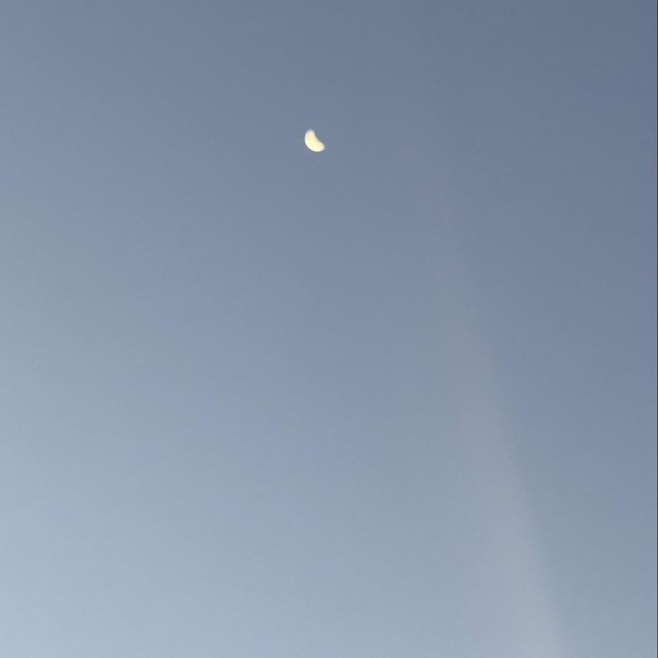 The Moon over Browns Mills, United States — last quarter, Lunar Day 24
