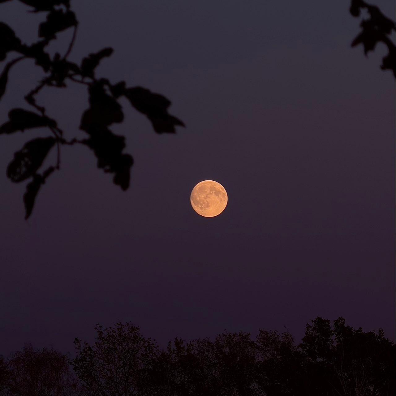 The Moon over Pelt, België — full moon, Lunar Day 16