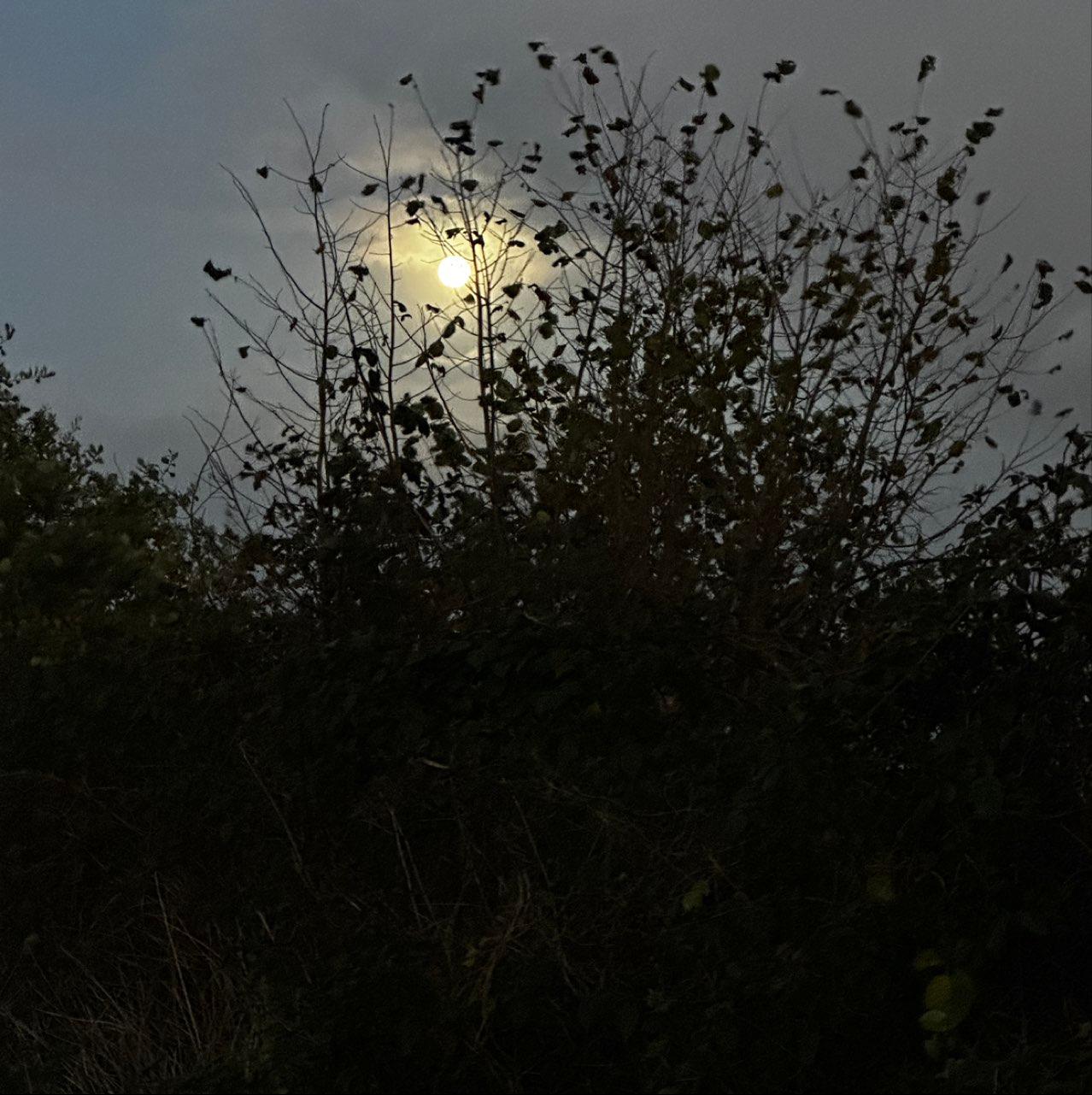 The Moon over Raesfeld, Deutschland — full moon, Lunar Day 16