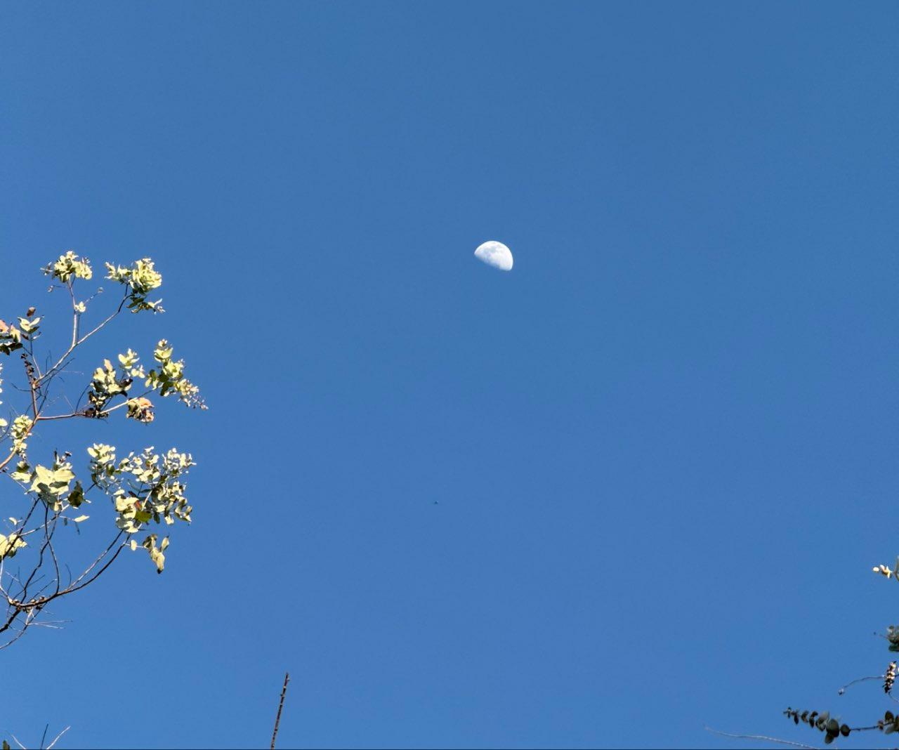 The Moon over Medellín, Colombia — first quarter, Lunar Day 10