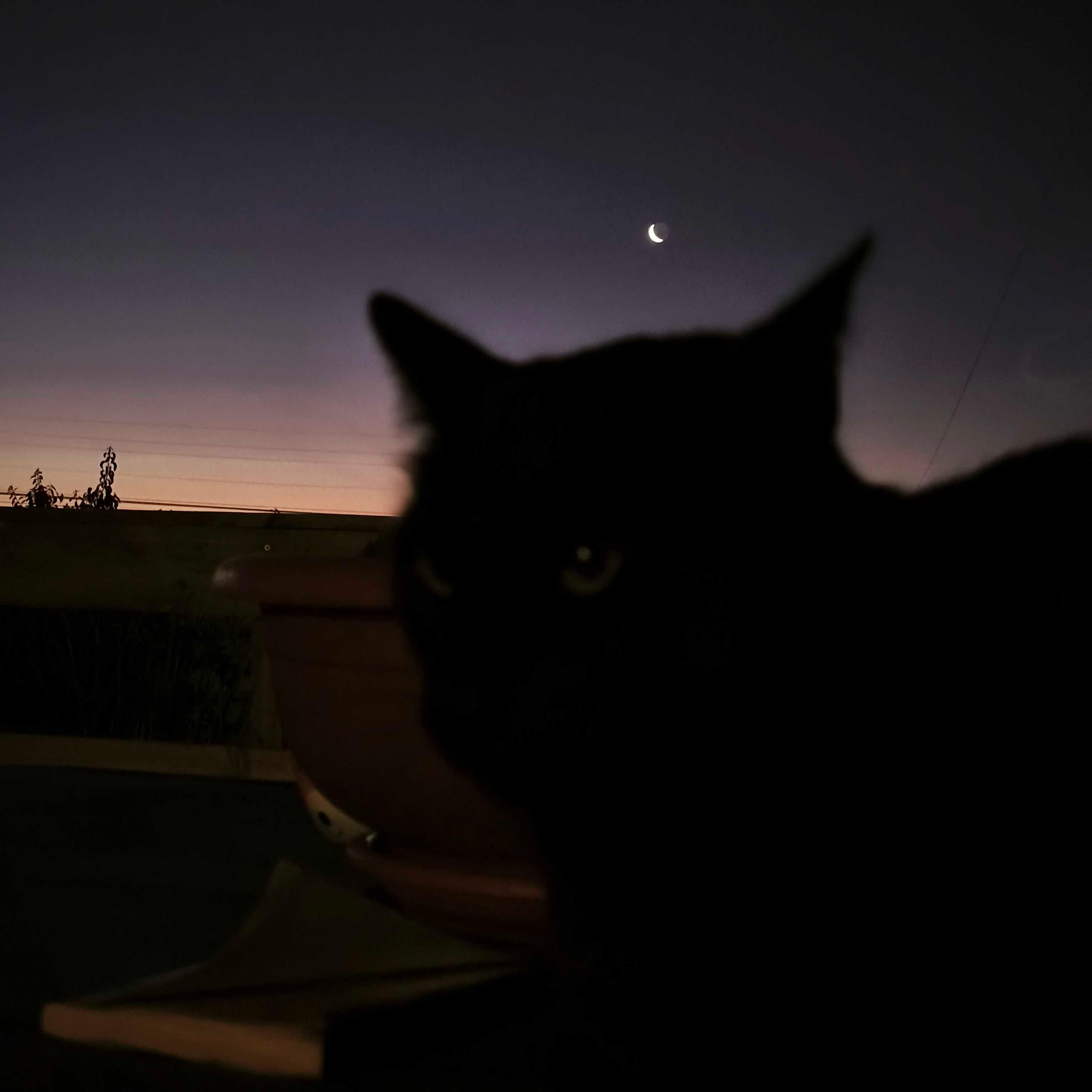 The Moon over Chanco, Chile — waxing crescent, Lunar Day 4